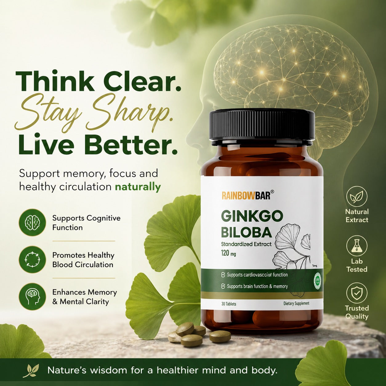 Ginkgo Biloba Tablets